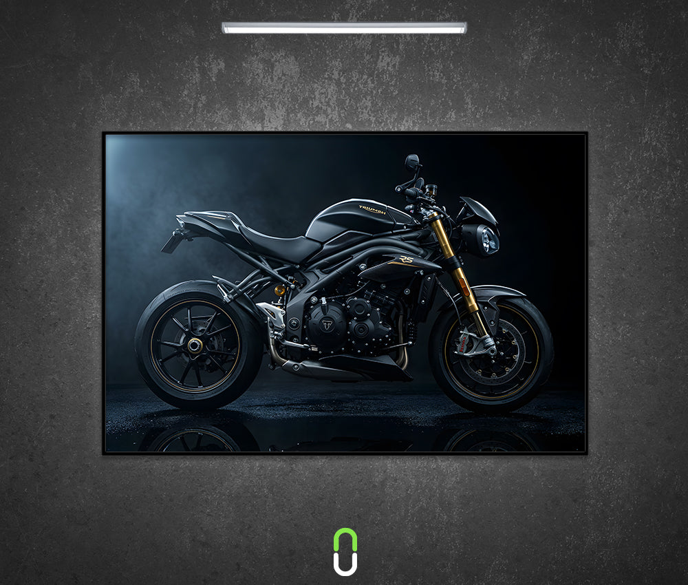 Tableau Néon Rétroéclairé — Triumph Speed Triple RS Sans LED