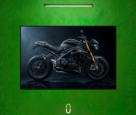 Tableau Néon Rétroéclairé — Triumph Speed Triple RS